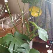 ヒメ日記 2025/12/16 08:14 投稿 町村 熟女の風俗最終章　鶯谷店