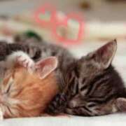 町村 Cｰヘブンで、お逢いしました💕S様💕 熟女の風俗最終章　鶯谷店