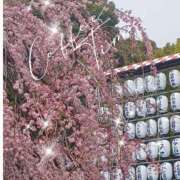 ヒメ日記 2026/03/23 20:37 投稿 町村 熟女の風俗最終章　鶯谷店