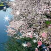 ヒメ日記 2026/04/05 09:59 投稿 町村 熟女の風俗最終章　鶯谷店