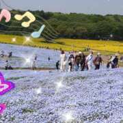 ヒメ日記 2026/05/10 23:33 投稿 町村 熟女の風俗最終章　鶯谷店