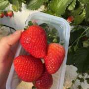 ちな こんにちわ^_^ 新橋フェアリーズ