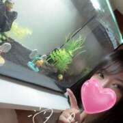 ヒメ日記 2025/03/31 14:07 投稿 コトリ ラブ&ピース 大宮店