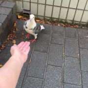 ヒメ日記 2025/10/16 08:21 投稿 コトリ ラブ&ピース 大宮店