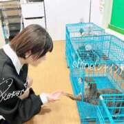 ヒメ日記 2025/10/17 21:02 投稿 コトリ ラブ&ピース 大宮店