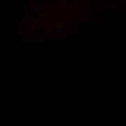 ヒメ日記 2025/11/27 11:21 投稿 コトリ ラブ&ピース 大宮店