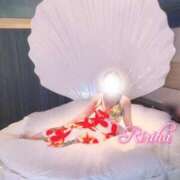 ヒメ日記 2024/12/31 15:58 投稿 りりは 静岡駅前ちゃんこ