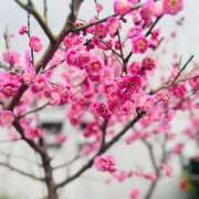 ヒメ日記 2025/03/11 22:07 投稿 かれん 快楽夫人