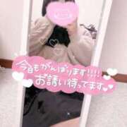 ヒメ日記 2025/07/23 07:07 投稿 ふぅ 長崎佐世保ちゃんこ