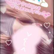 ヒメ日記 2025/07/23 11:37 投稿 ふぅ 長崎佐世保ちゃんこ