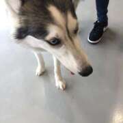 ヒメ日記 2025/06/23 16:09 投稿 ぴの 迷宮の人妻 古河・久喜発