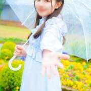 ヒメ日記 2025/04/04 07:45 投稿 Hikari LUXURY（ラグジュアリー）