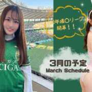 Hikari 今年も開幕???& 3月の予定? LUXURY（ラグジュアリー）