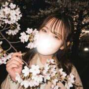 Hikari 🌸 LUXURY（ラグジュアリー）