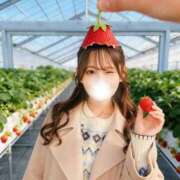 ヒメ日記 2026/04/28 08:50 投稿 Hikari LUXURY（ラグジュアリー）