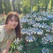 ヒメ日記 2026/07/11 22:02 投稿 Hikari LUXURY（ラグジュアリー）