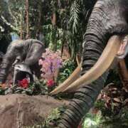 ヒメ日記 2025/03/03 23:35 投稿 まなつ ママれもん錦糸町店