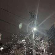 ヒメ日記 2025/03/29 02:37 投稿 まなつ ママれもん錦糸町店