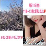 ヒメ日記 2025/04/10 16:10 投稿 響 マスカレード