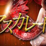 ヒメ日記 2025/04/14 18:50 投稿 響 マスカレード