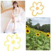 ヒメ日記 2025/08/03 23:08 投稿 響 マスカレード