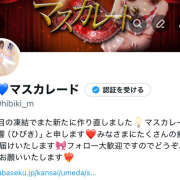 響 見て下さいm(._.)m マスカレード