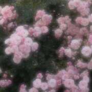 ヒメ日記 2025/06/08 08:35 投稿 れむ 素人系イメージSOAP 彼女感 宇都宮本館