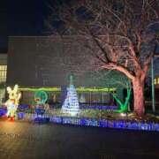 ヒメ日記 2024/12/14 17:59 投稿 もみじ 成田人妻花壇