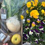 ヒメ日記 2024/12/21 15:57 投稿 もみじ 成田人妻花壇