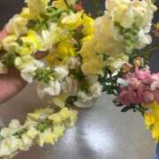 ヒメ日記 2025/04/22 13:30 投稿 もみじ 成田人妻花壇