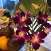 ヒメ日記 2025/04/24 10:34 投稿 もみじ 成田人妻花壇