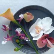 ヒメ日記 2025/11/14 11:52 投稿 もみじ 成田人妻花壇