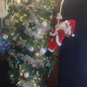 ヒメ日記 2025/11/16 08:30 投稿 もみじ 成田人妻花壇