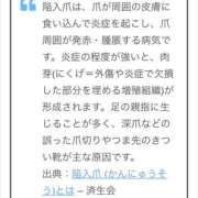 ヒメ日記 2025/11/29 12:10 投稿 もみじ 成田人妻花壇