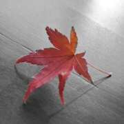 ヒメ日記 2025/12/02 18:27 投稿 もみじ 成田人妻花壇