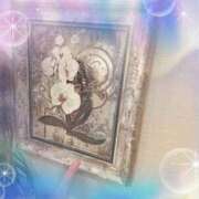 ヒメ日記 2025/12/06 17:50 投稿 もみじ 成田人妻花壇