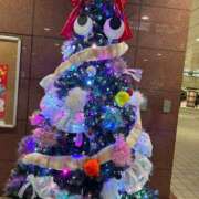 ヒメ日記 2025/12/15 17:43 投稿 もみじ 成田人妻花壇