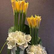 ヒメ日記 2025/12/18 22:47 投稿 もみじ 成田人妻花壇