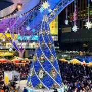 ヒメ日記 2025/12/20 18:45 投稿 もみじ 成田人妻花壇