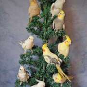 ヒメ日記 2025/12/21 13:38 投稿 もみじ 成田人妻花壇