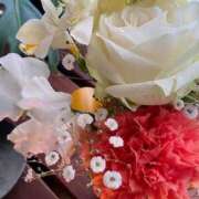 ヒメ日記 2026/03/25 14:28 投稿 もみじ 成田人妻花壇