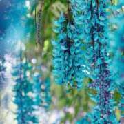 ヒメ日記 2026/03/30 21:45 投稿 もみじ 成田人妻花壇