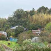 ヒメ日記 2026/04/07 18:43 投稿 もみじ 成田人妻花壇