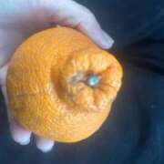 ヒメ日記 2026/04/08 17:40 投稿 もみじ 成田人妻花壇