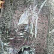 ヒメ日記 2026/04/09 11:55 投稿 もみじ 成田人妻花壇