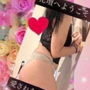 ヒメ日記 2026/06/25 09:01 投稿 もみじ 成田人妻花壇