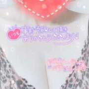 ヒメ日記 2025/03/01 08:01 投稿 初音 高崎人妻城