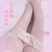 ヒメ日記 2025/04/26 10:16 投稿 初音 高崎人妻城