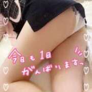 ヒメ日記 2026/02/03 10:22 投稿 初音 ROYAL　GRACE