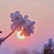 ヒメ日記 2026/03/30 12:05 投稿 初音 ROYAL　GRACE